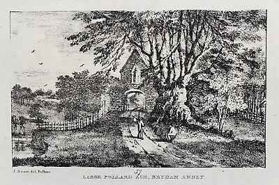 1825 Antique Print; Bayham Abbey Large Pollard Ash Sussex Border After J. Rouse • £7.99