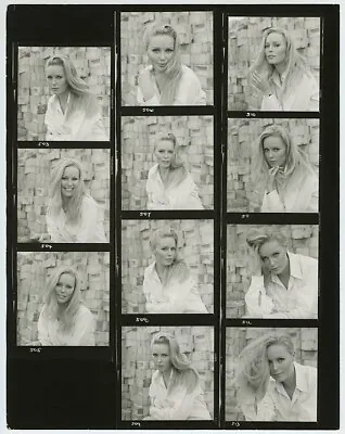 1968 Contact Sheet Veronica Carlson Sexy Poses Dracula Has Risen From The Grave • $575.45