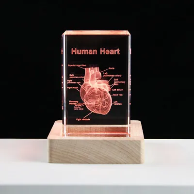 Crystal 3D Heart Anatomy Model Cube Human LED Organ Ornament Teaching Science • $41.79