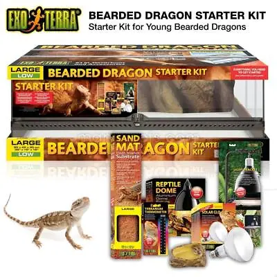 Exo Terra Bearded Dragon Starter Kit Glass Terrarium Reptile Enclosure Vivarium • £349.99