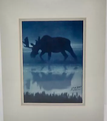 Moose In Fog Paper Print New In Sealed Matted Frame 8  X 10  Shattil & Rozinski • $7.49