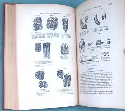 1857 Manual Of Elementary Geology: Fossils Etc By Deep Time Darwin Charles Lyell • $29.95