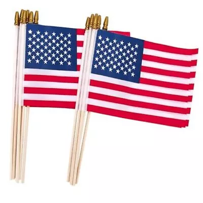 12 Pcs American Flags On Sticks 8 X 12 Inches Mini Handheld US Flags 12 Pcs • $17.07