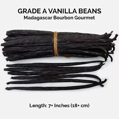 10 Fresh Madagascar Grade A Organic Bourbon Gourmet Vanilla Beans (7 +) • $18.99