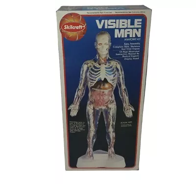 Visible Man Skilcraft Anatomy Kit 74622 VINTAGE 1994 • $32