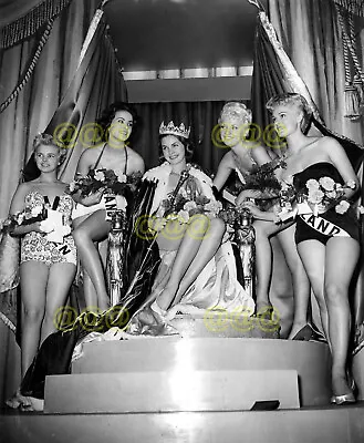 Photo - Miss World 1958 Winner Miss South Africa With The Runners-up • $6.25
