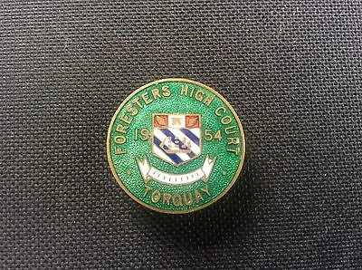 £16.99 • Buy 1954 AOF Ancient Order Of Foresters Torquay High Court Enamel Badge Pin 1950s