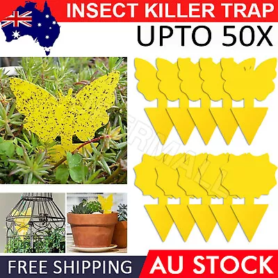 Up To 50pcs Dual Sided Strong Sticky Trap Insect Killer Fruit Fly Trap Gnat OZ • $6.52