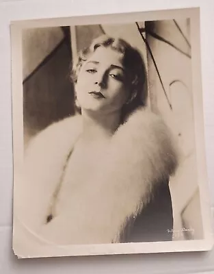 Vilma Banky Vintage 1920s 8x10 Photo • $44.95