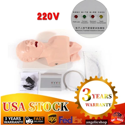 $229 • Buy Adult Airway Management Trainer Model Lab Oral Intubation Manikin Teaching Model