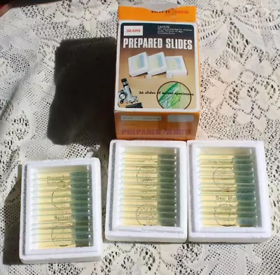 Vintage Sears Prepared Slide Set Microscope Specimen Complete Box Of 36 Japan • $14.99