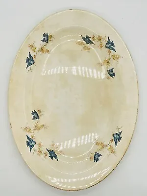 Antique VTG D.E. McNicol Ohio Bluebird Oval 15.5  X 11  Meat Platter Plate RARE • $89.99