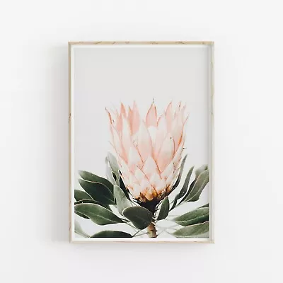 Protea Flowers Wall Art Print. A3 A2 A1 Size. Perfect Home Decor • $76.05