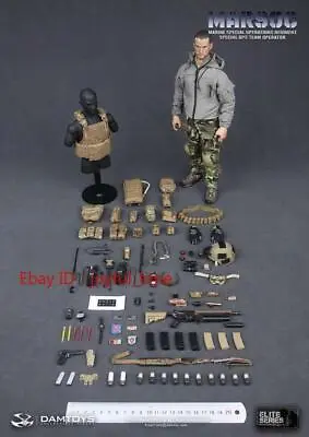 In Stock ，DAMTOYS 1/6 US Special Forces MARSOC Action Figure DAM78007 • $399.99