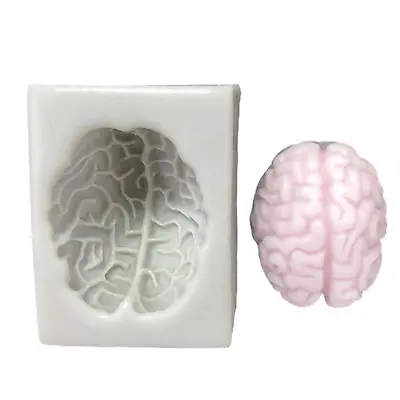 Brain Mold Silicone Silicone Diy Brain Mould Brain Cake Mold Silicone Mold • $15.69