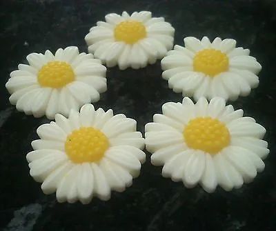 10 X  White & Yellow Daisy Daisies Flower Cabochon 27mm Resin • £1.99