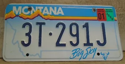 Montana 2000 Auto License Plate 3T-291J BIG SKY Collector Man Cave Crafting • $11