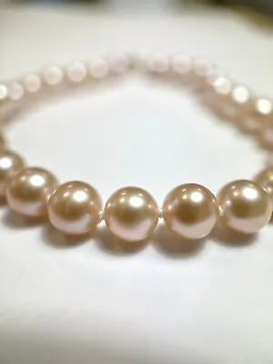 14kt. Yellow Gold Freshwater Pearl Bracelet 6.2 To 6.3 Mm Pearls 7 Inches Long • £28.88