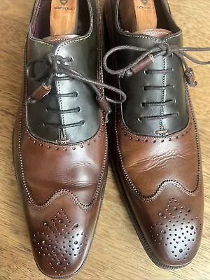 Rare Mezlan Custom Brown Green Oxford Spain 10M • $90