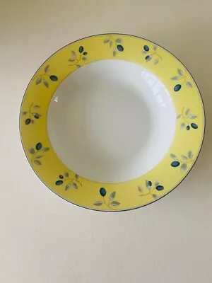 £8.50 • Buy Brand New Never Used Royal Doulton Blueberry Cereal / Soup Bowl 21.5cm Diameter