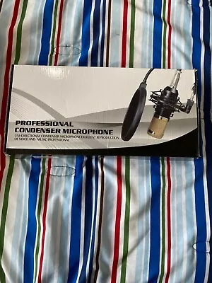 Professional Condenser Microphone Voice And Music Microphone  • $24.99