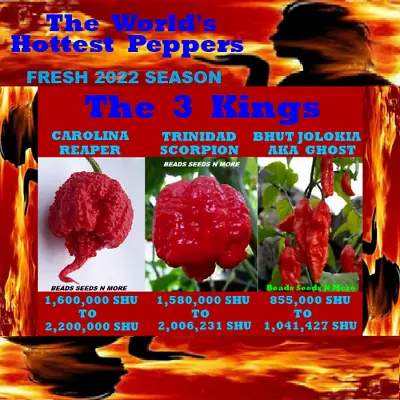 COMBO PACK 3 KINGS - Carolina Reaper HB22a - Trinidad Scorpion & Ghost Pepper • $9.50