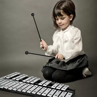 Foldable Glockenspiel Xylophone 30 Note With Wood Base And 30 Metal Keys • $96.35