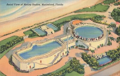 Marineland FL Florida Marine Studios Aerial View Vintage Postcard • $6.39