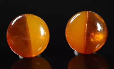 Vintage 3g Pressed Butterscotch Egg Yolk Baltic Amber Stone Earrings D1248 • $19.98