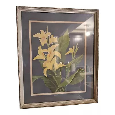 Vintage Framed Botanical Art Deco Floral Lithograph Daffodil Flowers  Mash GOES • $28