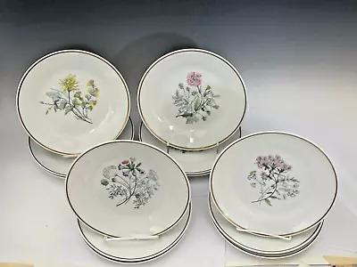 Set Of 12 Vintage Richard Ginori 8  Luncheon Plates Primavera Floral Pattern • $149