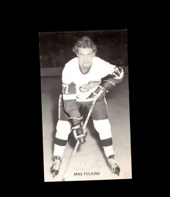 Mike Fogligno Signed JD McCarthy Vintage Postcard 1950`s 60`s Detroit Red Wings  • $15