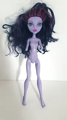 Monster High Jane Boolittle Replacement Body Torso Head OOAK Doll • $14.99