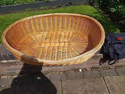 £18 • Buy XLarge, Wicker Pet Bed Donated To Sell For HWH DOG RESCUE CHARITY. Used 43 ×33 