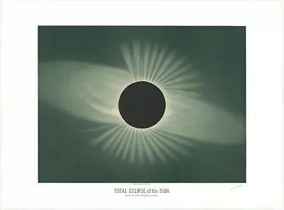 1881 Illustration Of Total Solar Eclipse Antique Astronomy Art Poster Print • $40