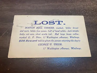 1905 Official Notice Mass. Police Lost Boston Bull Terrier  Cv29 • $29.99