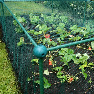 Netted Fruit And Vegetable Garden Cage Approx. 2' High - Protect Against Pests   • £50