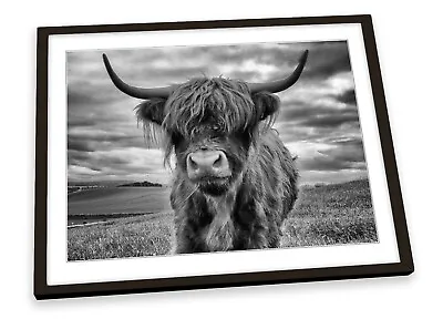 £12.99 • Buy Highland Cow B&W Grey FRAMED ART PRINT Picture Poster Artwork