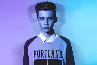 Troye Sivan Celebrity Cinema Actor Musician Wall Art Home Decor - POSTER 20x30 • $23.99