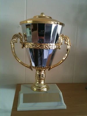 $21.50 • Buy 8  Gold & Silver Cup Trophy Award -Free Engraving