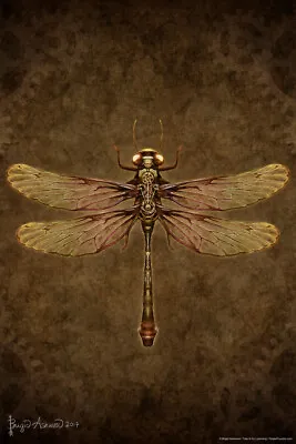 Steampunk Dragonfly By Brigid Ashwood Cool Wall Decor Art Print Poster 12x18 • $10.98