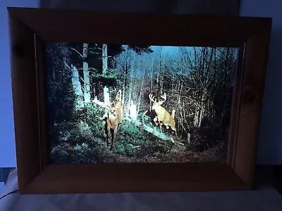 VTG Helmscene #82 *WILD WHITETAIL BUCKS* Deer Wood Frame Lighted Wall Picture • $289