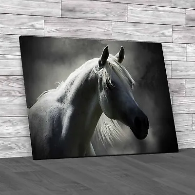 Arabian Horse Portrait Captivating Equine Original Canvas Print Large Picture • £18.95