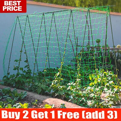 £4.99 • Buy Plant Support Mesh Garden Netting Vegetable Fruit Climbing Net Pea  Bean Trellis