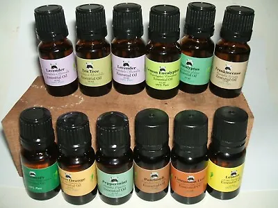 Zelda's PURE Essential Oils Variety 10 Ml Introductory Priced Till 08/31/23 USA • $7.99