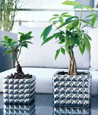 £4.99 • Buy Flower Pot Home Decor Modern Plant Holder Ceramic Pots Planter Indoor Garden 