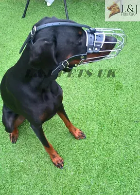 £23 • Buy New Strong  Metal Wire Basket Dog Muzzle For Doberman , Malinois And Other Dogs