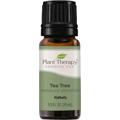 Plant Therapy Essential Oils Tea Tree 100% Pure Undiluted Natural Aromatherapy • $8.49