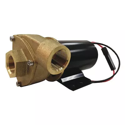 Dayton 5Pxx4 Brass 1/8 Hp Centrifugal Pump 12V • $271.99