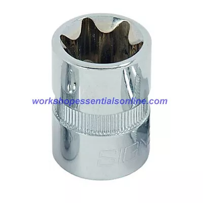 E12 Torx Socket 3/8  Drive Signet S12158 • $8.78